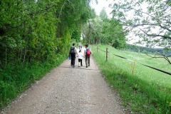 niedamirow_308