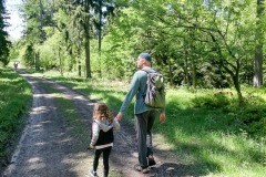 niedamirow_311